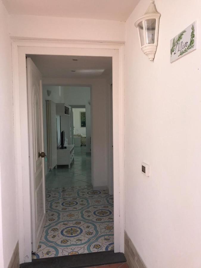 L' Ulivo Villa Nunzia Barano dʼIschia Exterior foto