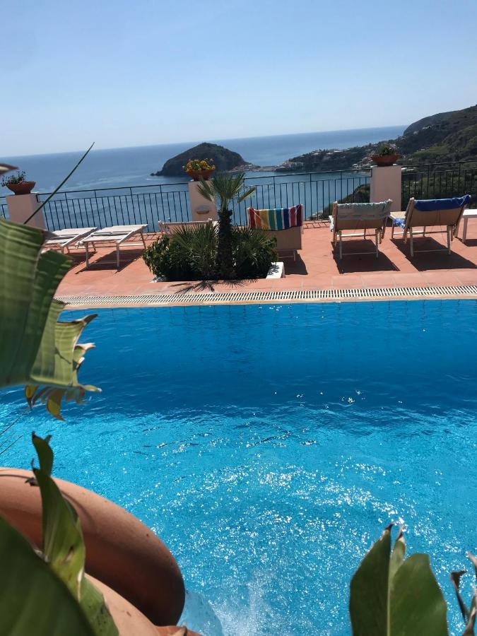 L' Ulivo Villa Nunzia Barano dʼIschia Exterior foto