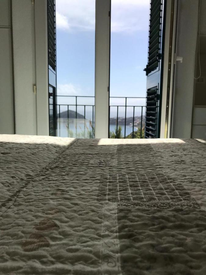 L' Ulivo Villa Nunzia Barano dʼIschia Exterior foto