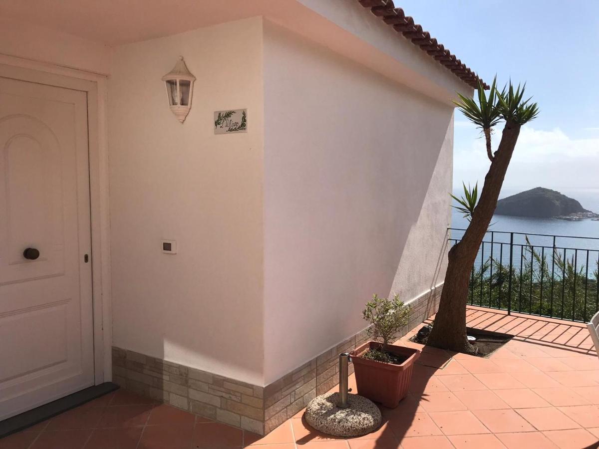 L' Ulivo Villa Nunzia Barano dʼIschia Exterior foto